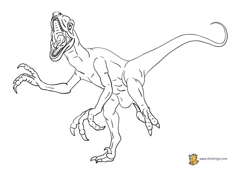 792x576 Jurassic World Blue Raptor Coloring Pages Kids Coloring Amazing