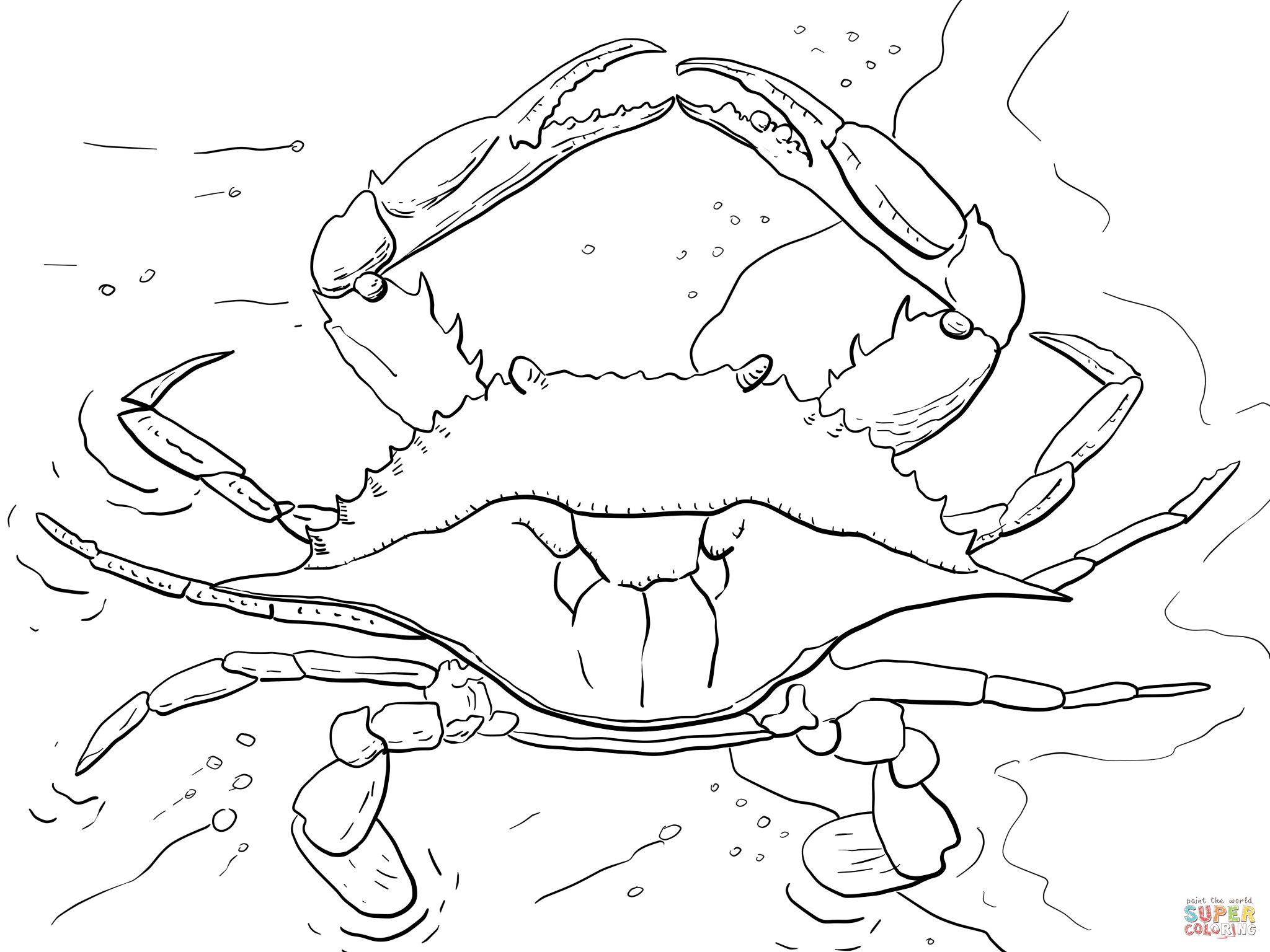 Blue Crab Coloring Pages