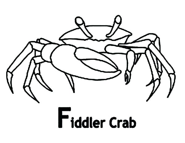 600x464 Blue Crab Coloring Page Printable Coloring Fiddler Crab Coloring