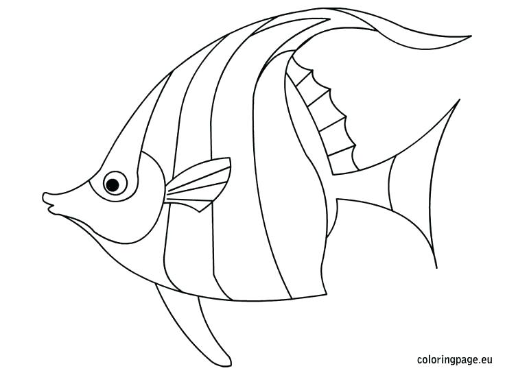 736x544 One Fish Two Fish Red Fish Blue Fish Coloring Pages Two Fish Red
