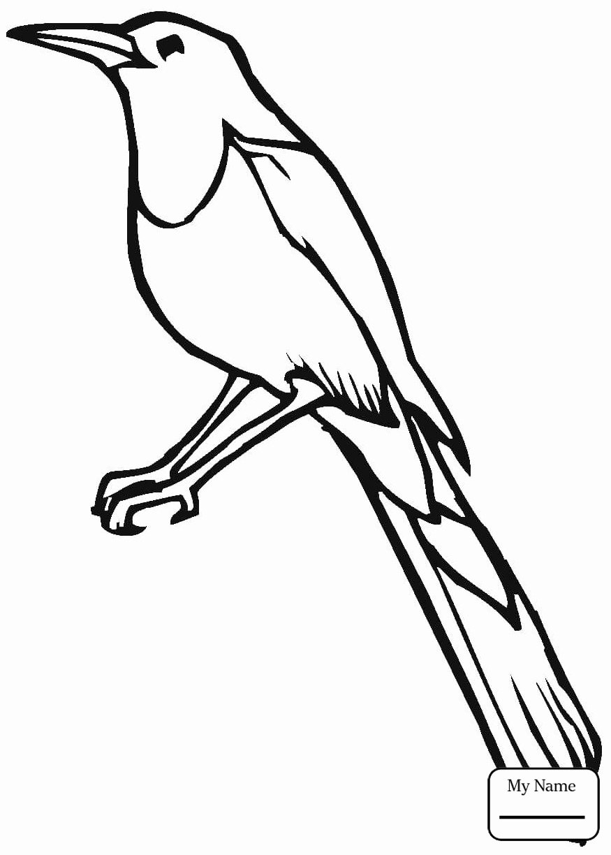 875x1224 Blue Jay Coloring Page Image Birds Cute Blue Jay Coloring Pages