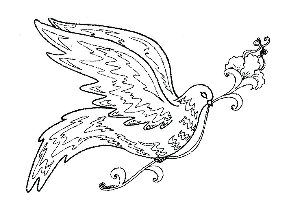 1000x714 Cardinal Coloring Pages Bird Coloring Pages For Adults Sunflowers