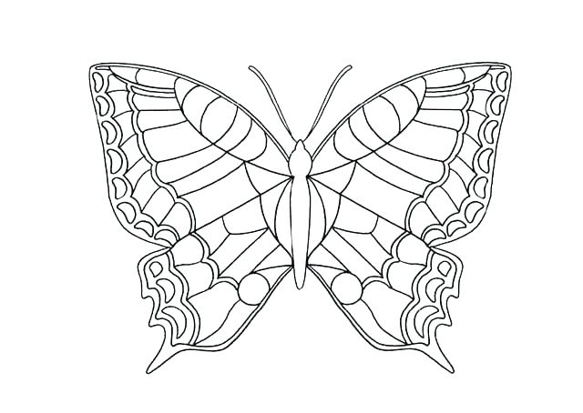 640x454 Coloring Page Butterfly Butterfly Coloring Page Butterfly Life
