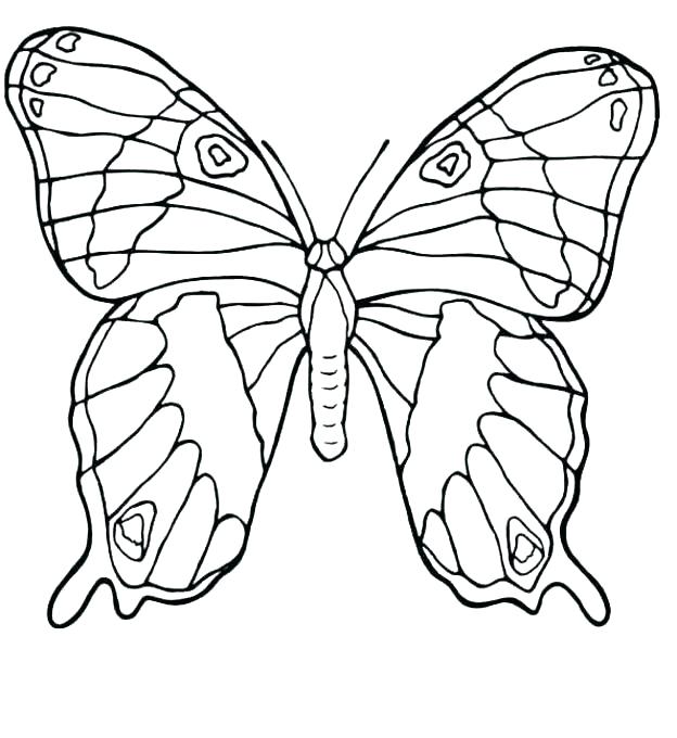 624x680 Coloring Page Butterfly Cute Butterfly Coloring Pages Butterfly
