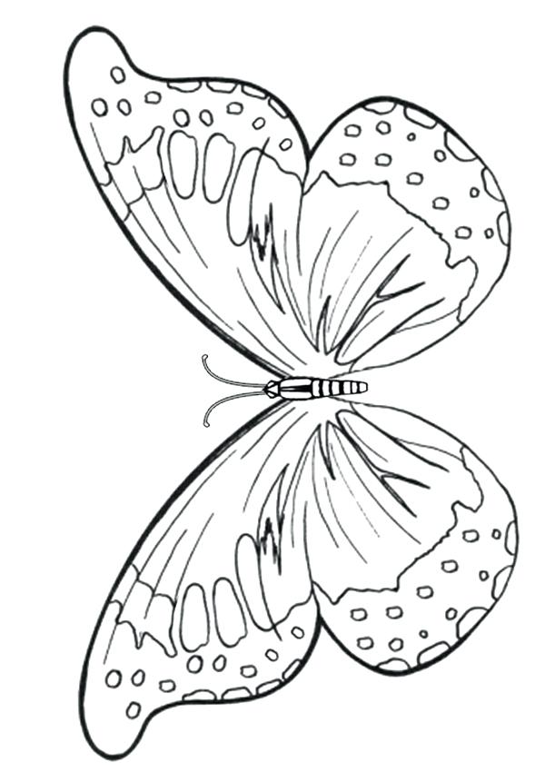 600x850 Coloring Page Butterfly Free Online Printable Kids Colouring Pages