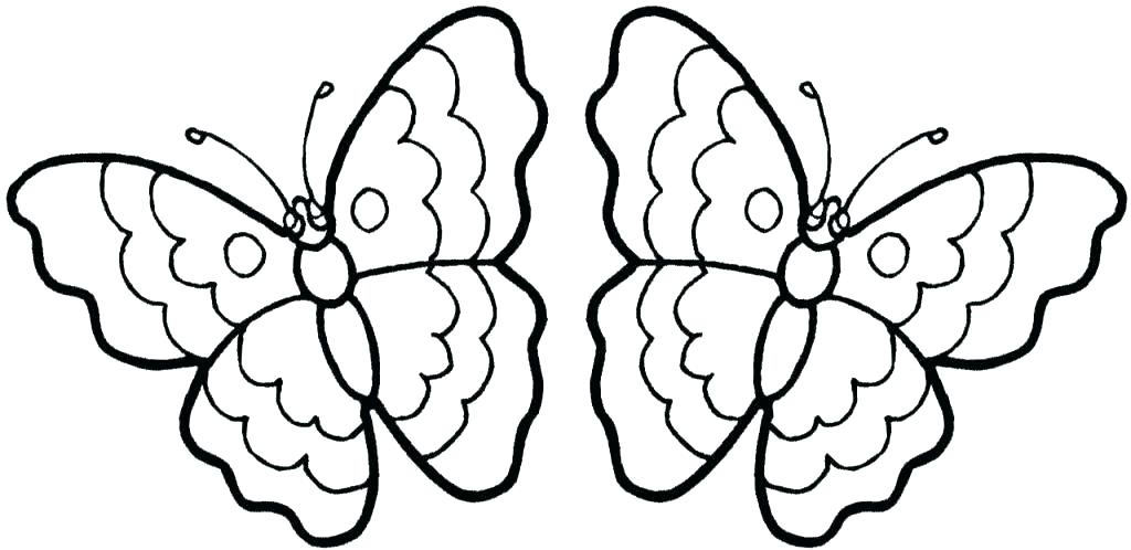 1024x498 Coloring Page Of Butterfly Butterfly Coloring Pages Free Butterfly