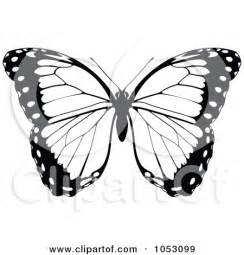 244x255 Monarch Butterfly Small Tortoiseshell Butterfly Swallowtail