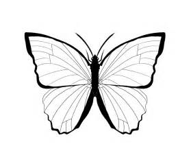 279x223 Blue Morpho Butterfly Coloring Page