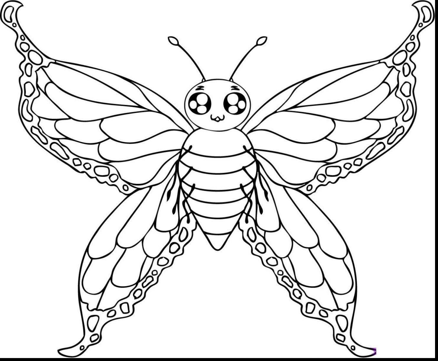 1482x1223 Unique Picture Of A Butterfly To Color Pages Magnificent Blue