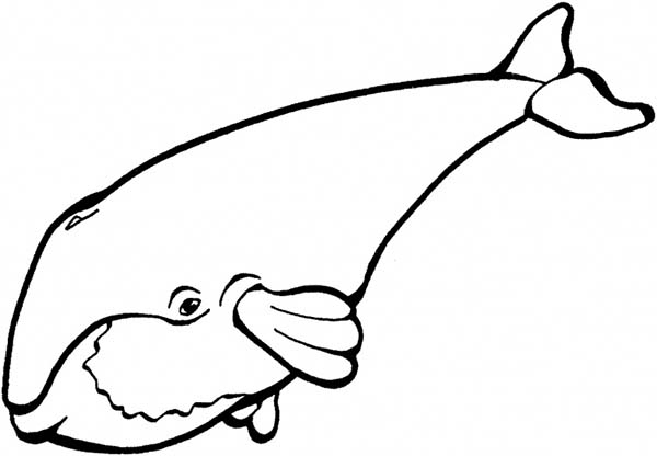 Blue Shark Coloring Pages