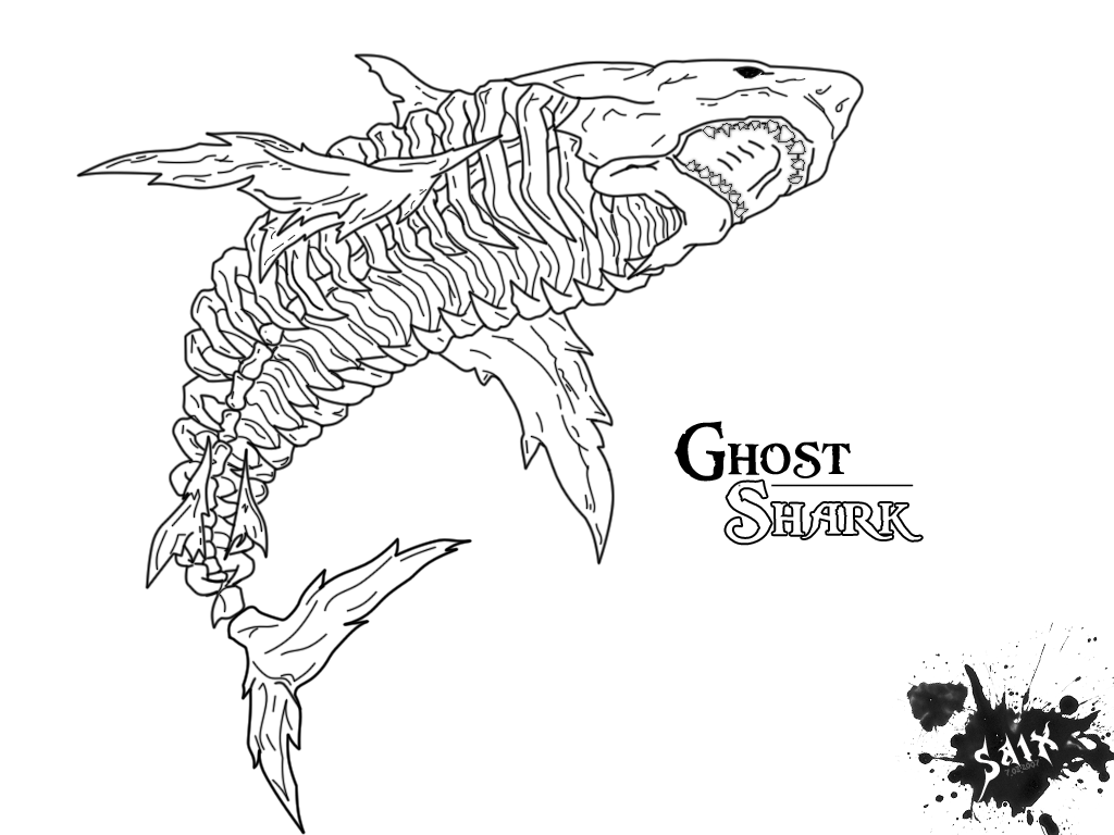 1024x768 Great White Shark Coloring Pages