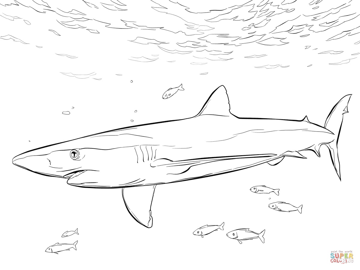 1199x899 Best Of Blue Shark With Pilot Fishes Coloring Page From Blue