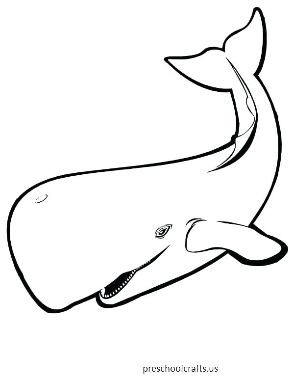 600x776 Whale Coloring Sheet Whale Coloring Sheet Whales Coloring Pages