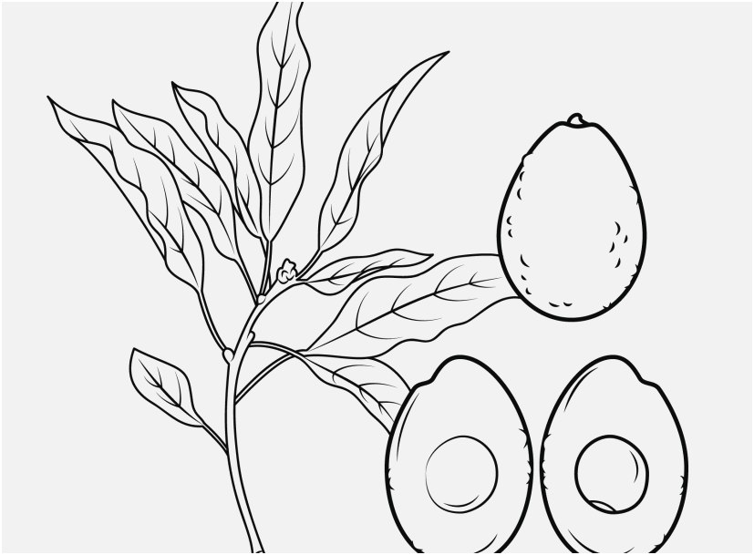 827x609 Blueberry Coloring Pages Free View Avocado Coloring Page
