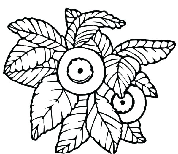 600x521 Muffin Coloring Page Blueberry Muffin Coloring Pages To Print