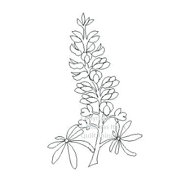 360x360 Bluebonnet Coloring Page Bluebonnet Printable Bluebonnet Coloring