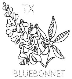 236x258 300px Bluebonnet Step 6.jpg Pixels Embroidery