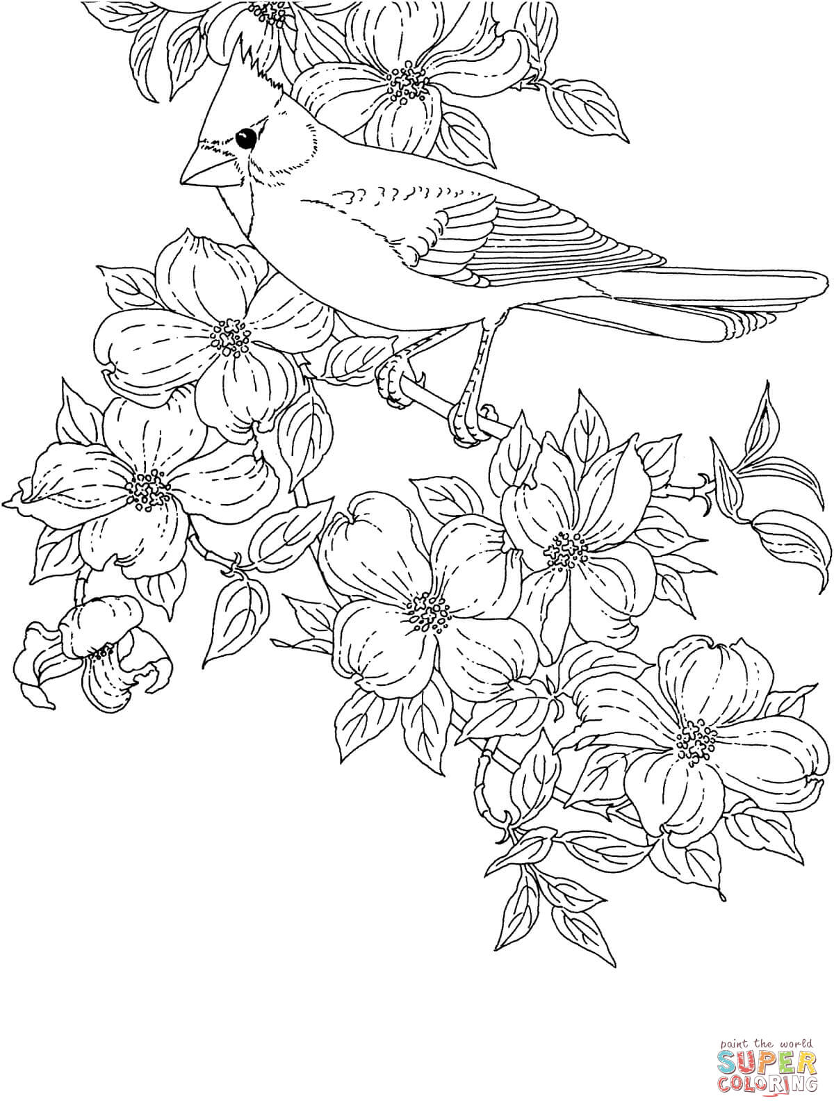 1200x1600 Bluebonnet Coloring Page Newyork