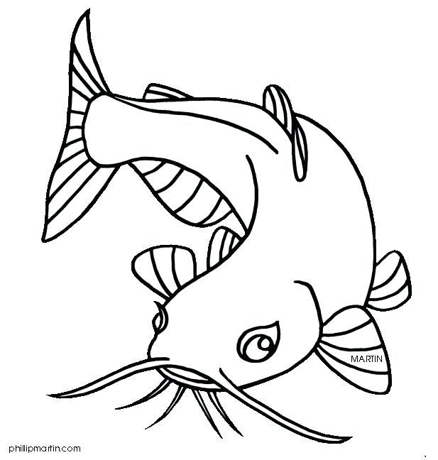 617x648 Catfish Coloring Page Color Channel Catfish Coloring Page