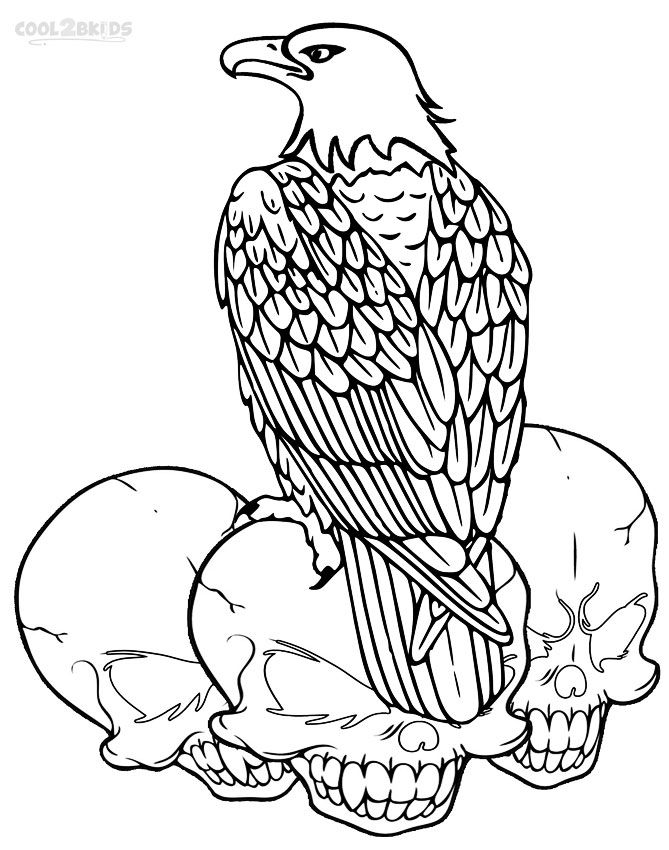 669x850 Printable Bald Eagle Coloring Pages For Kids Cool2bkids