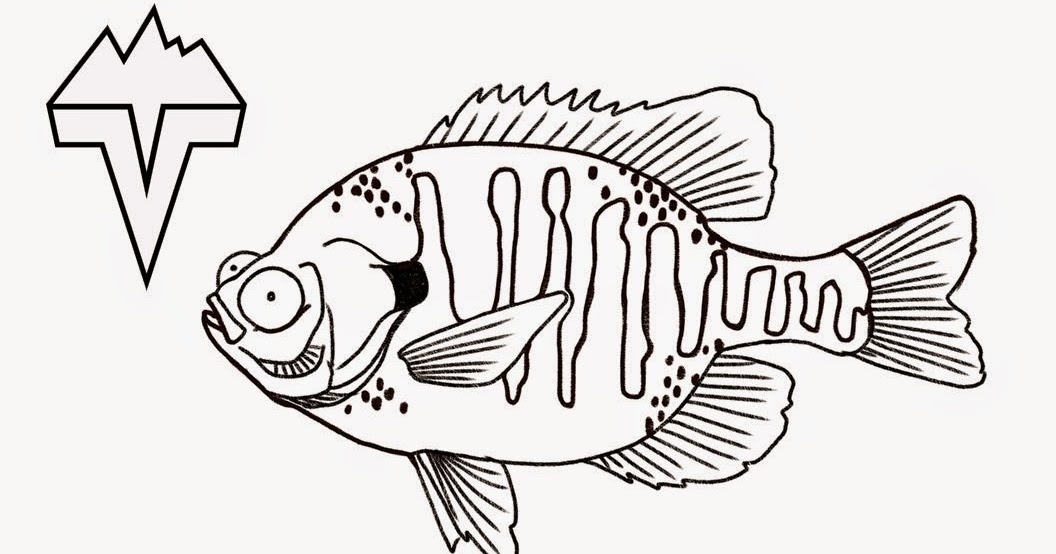 1056x554 Tight Lined Tales Of A Fly Fisherman Vedavoo's Coloring Contest