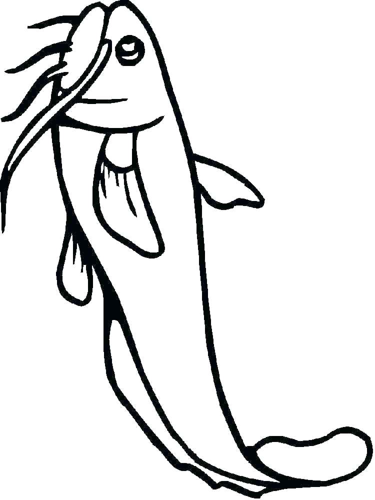 750x1000 Catfish Coloring Page Catfish Coloring Page Coloring Page Cat Cat