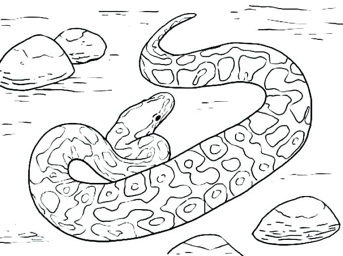 Boa Constrictor Coloring Page