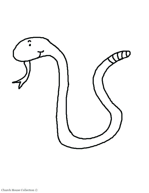 618x800 Boa Constrictor Coloring Page Boa Constrictor Coloring Page Boa