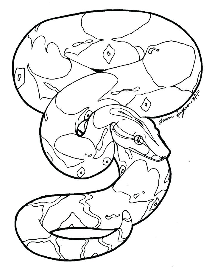 722x900 Boa Constrictor Coloring Page Boa Constrictor Coloring Page