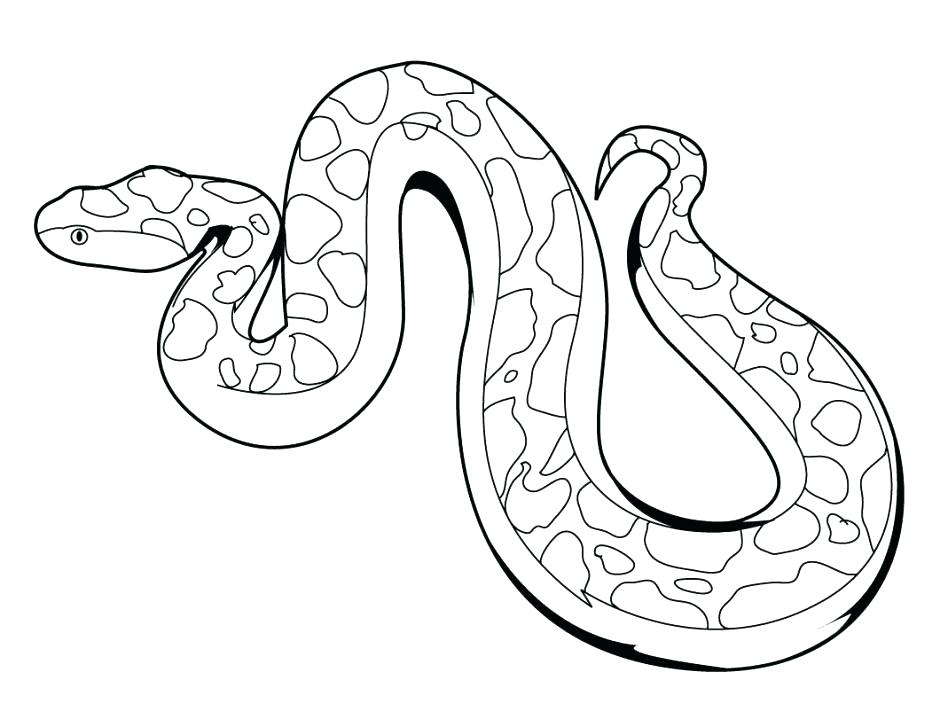 940x727 Boa Constrictor Coloring Page Boa Constrictor Coloring Page How