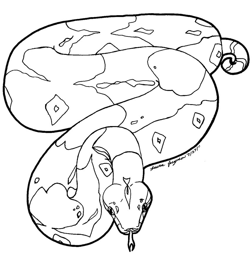 858x900 Boa Constrictor Coloring Page