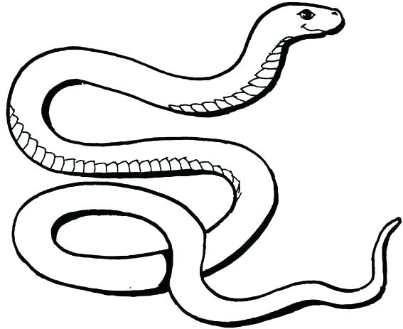 567x463 Boa Constrictor Coloring Page Snake Mesmerizing Colouring