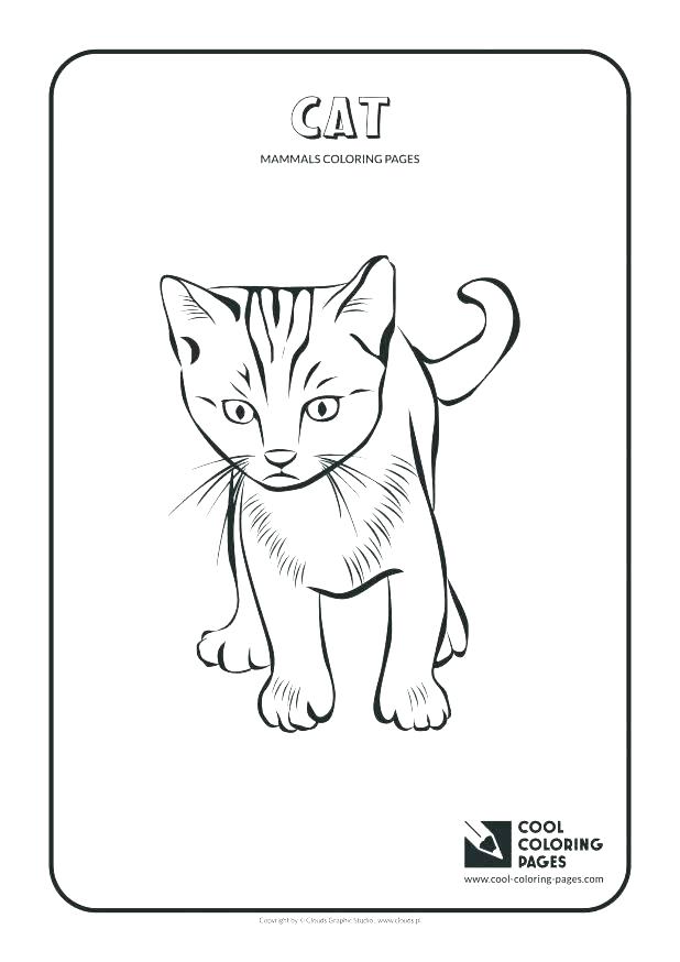 618x874 Boa Constrictor Coloring Page Anaconda Coloring Pages Anaconda