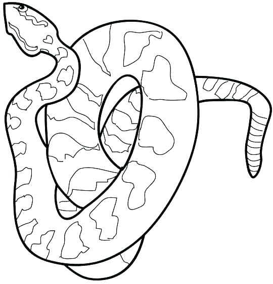 540x561 Boa Constrictor Coloring Page Anaconda Coloring Pages Boa