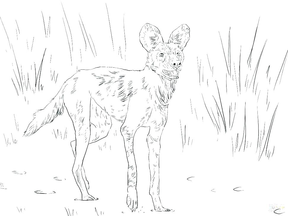 970x728 Wild Animal Coloring Pages Wild Animal Coloring Pages Wild Boar