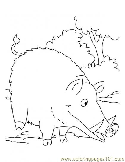 420x543 Wild Boar Coloring Page2 Coloring Page
