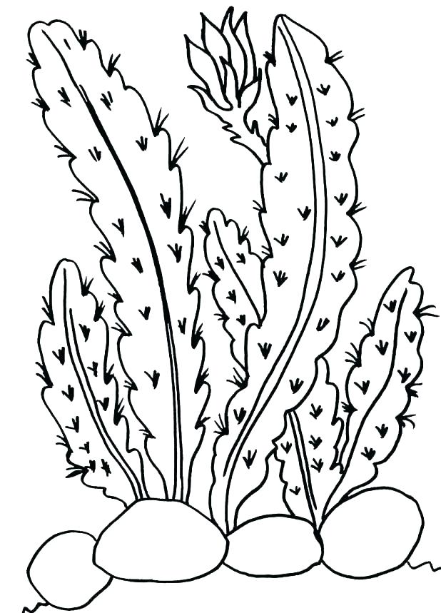 618x859 Bob Marley Coloring Pages Cliptext.co