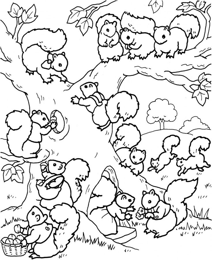 736x905 72 Best Coloring Images On Coloring Books, Vintage