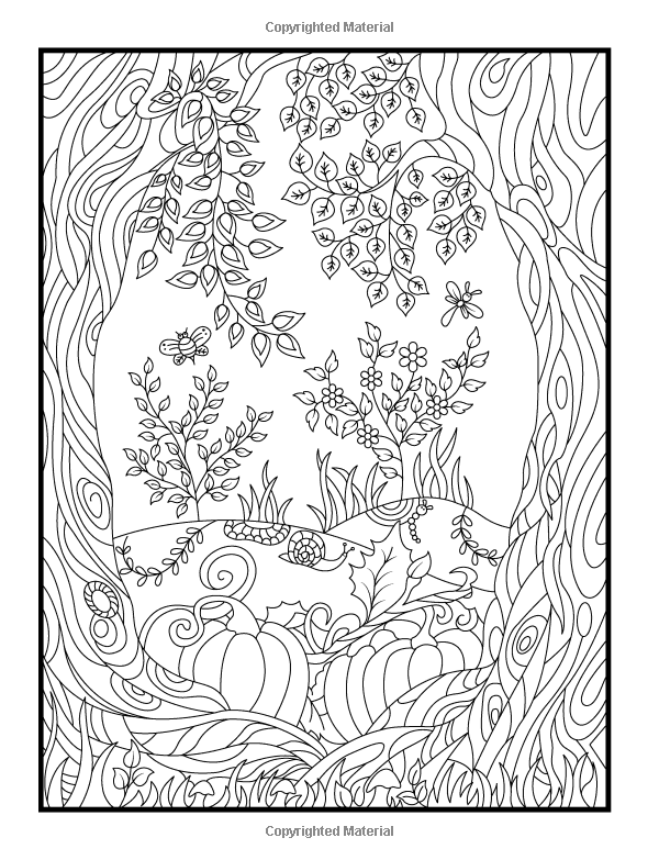 600x783 Amazoncom Coloring Books 6662889