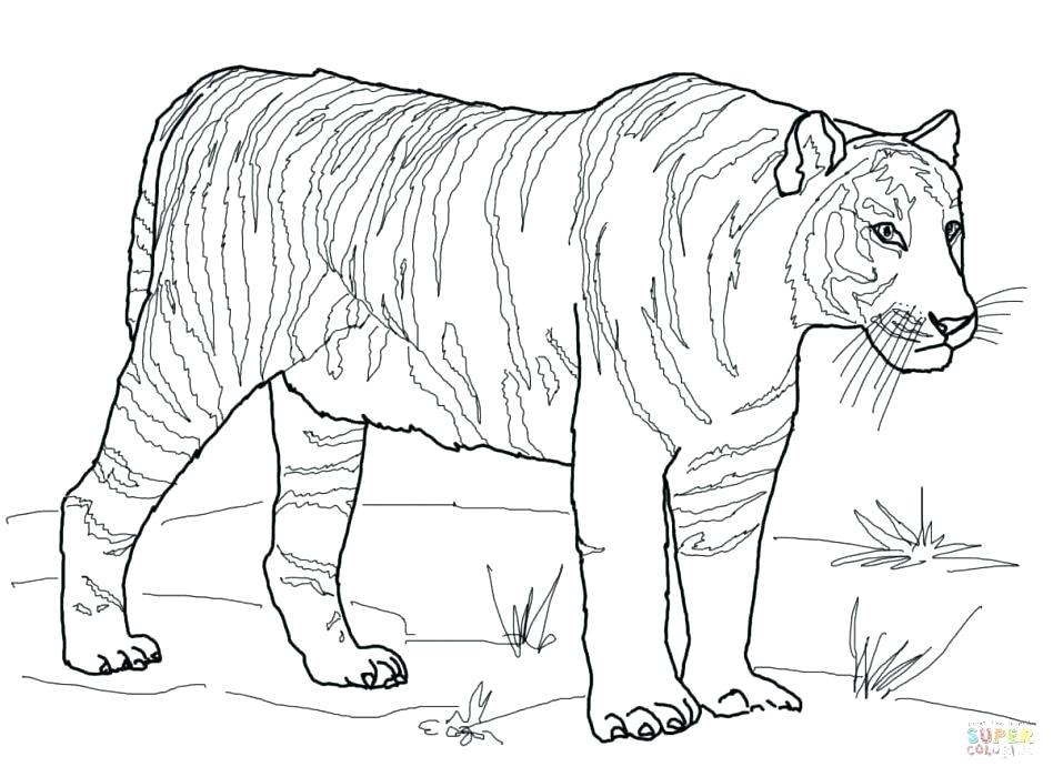 948x700 Bobcat Coloring Pages Bobcat Skid Steer Coloring Pages