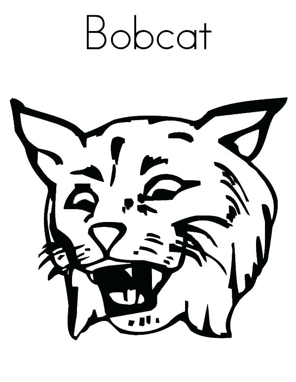 600x776 Bobcat Coloring Pictures Click Here To Print And Color Lynx