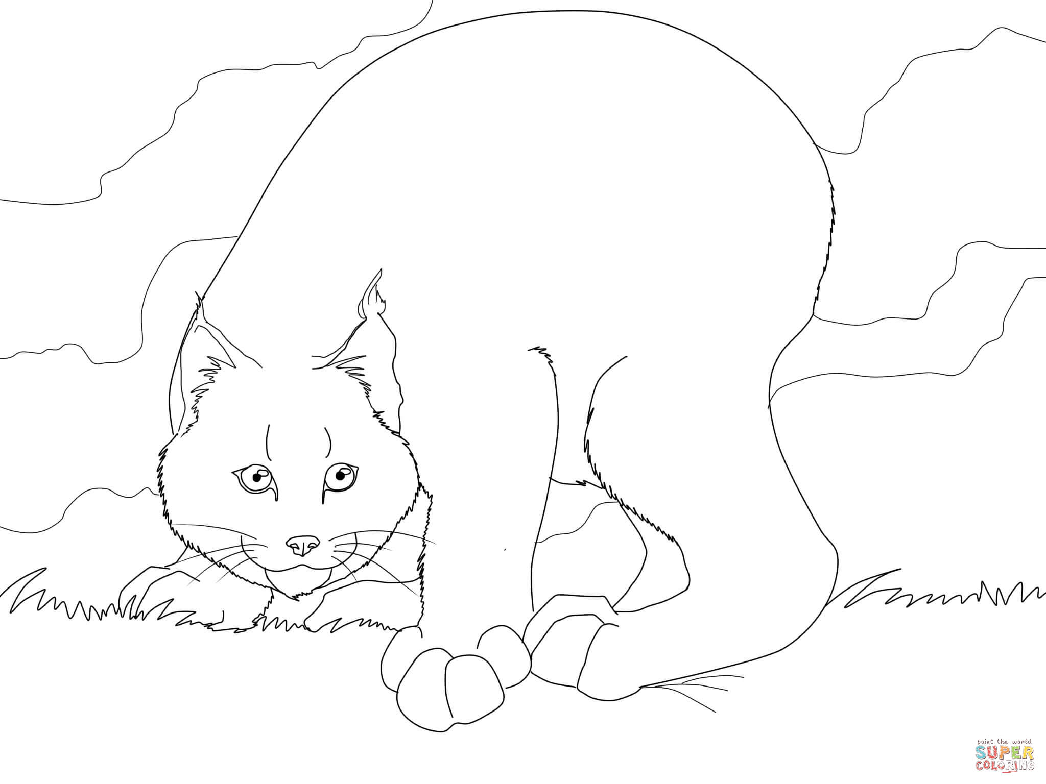 2048x1536 Archaicawful Lynx Colorings Minnesota Cat For Kids Bobcat Wildcat