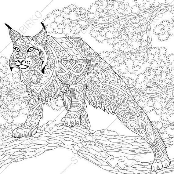 570x570 Wildcat. Lynx. Bobcat. Caracal. Coloring Pages. Animal Coloring