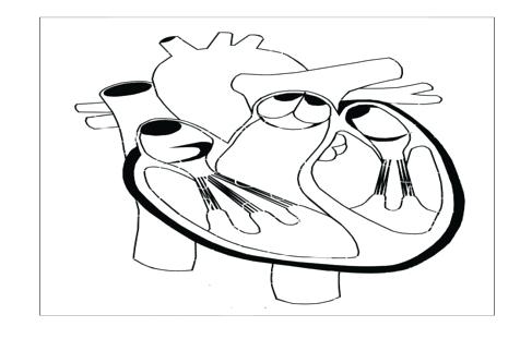 476x333 Human Face Coloring Page Kids Drawing And Pages On Human Human