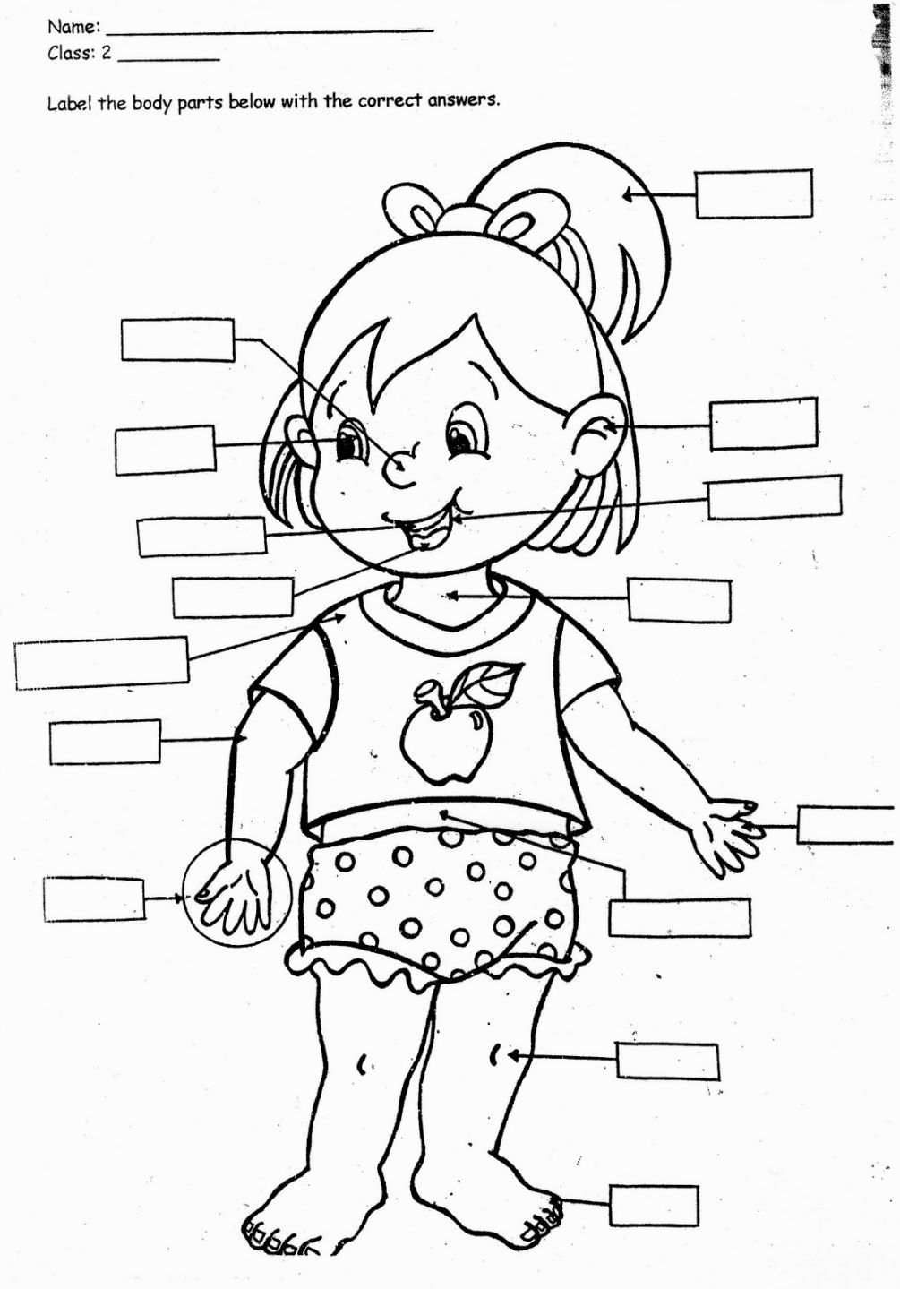 1005x1439 Incredible Printable Human Body Coloring Page Home In For Kids
