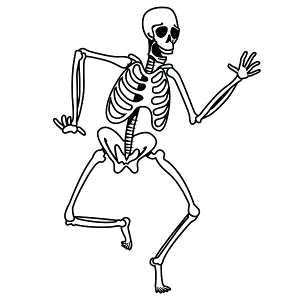 600x600 Human Body Coloring Page