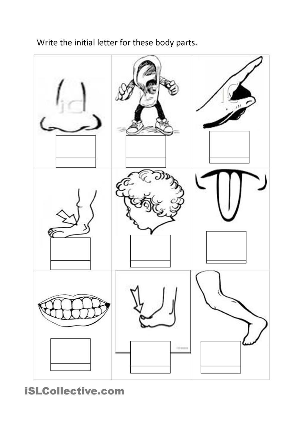 1018x1440 Instructive Parts Of The Body Coloring Pages For Preschool Sheets