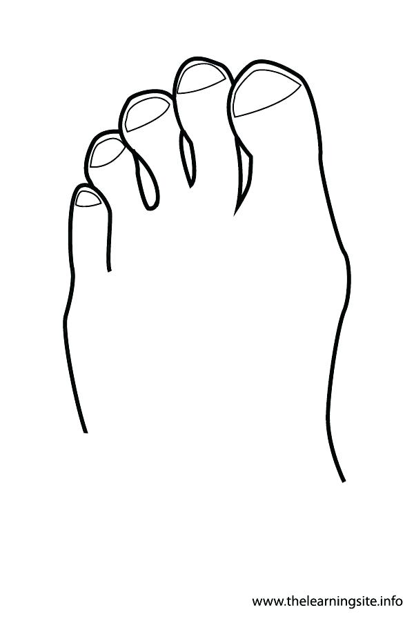 600x900 Body Outline Coloring Page Body Coloring Pages Body Outline