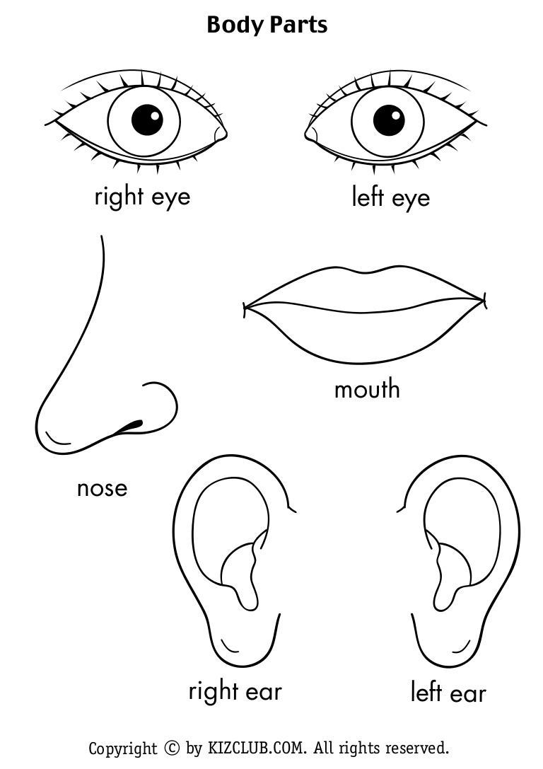 768x1087 Body Parts Coloring Pages