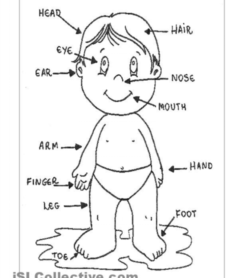 792x900 Coloring Pages Body Parts For Girls Learn My Printable Kids